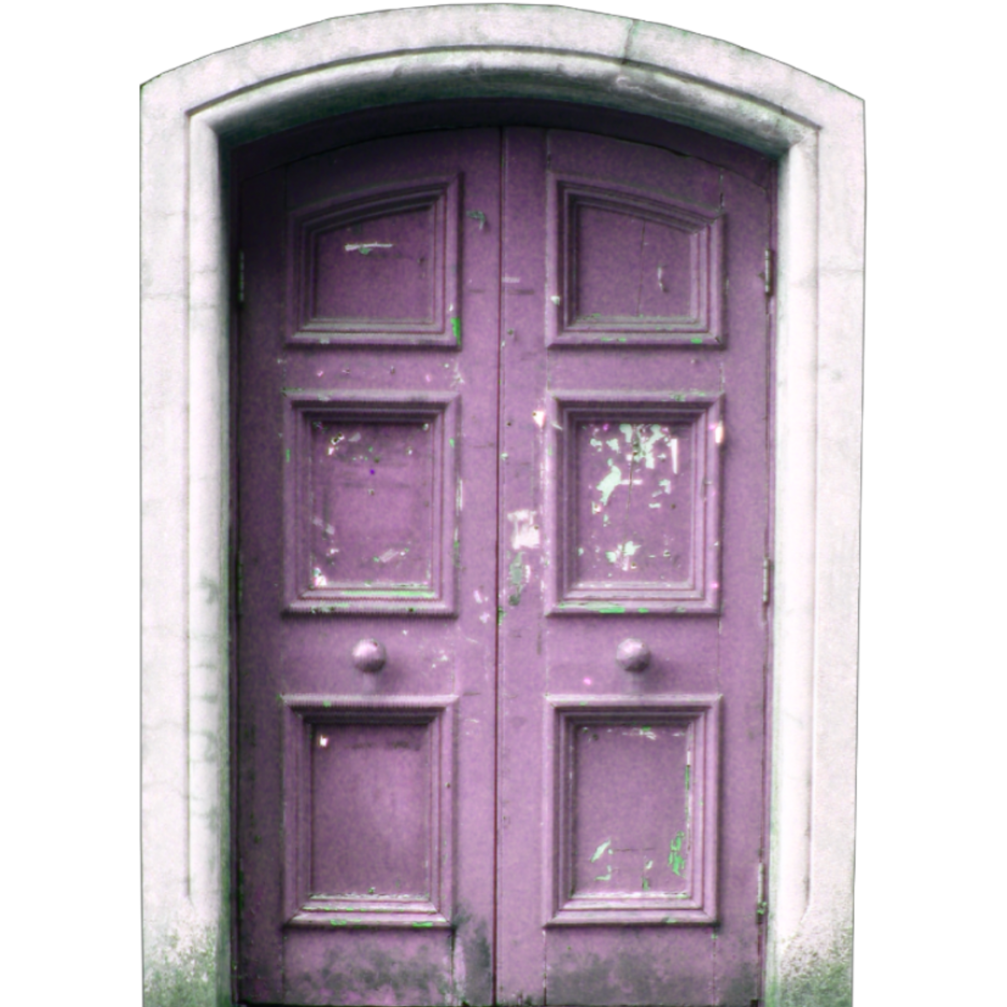 Closed door to visible self